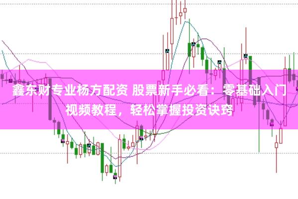 鑫东财专业杨方配资 股票新手必看：零基础入门视频教程，轻松掌握投资诀窍