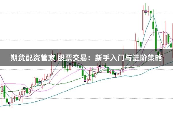 期货配资管家 股票交易：新手入门与进阶策略