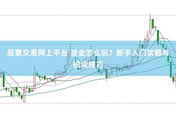 股票交易网上平台 基金怎么玩？新手入门攻略与投资技巧