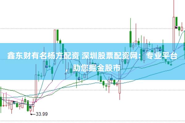 鑫东财有名杨方配资 深圳股票配资网：专业平台，助您掘金股市