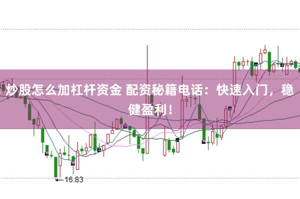 炒股怎么加杠杆资金 配资秘籍电话：快速入门，稳健盈利！