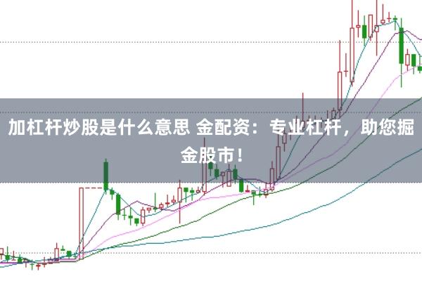 加杠杆炒股是什么意思 金配资：专业杠杆，助您掘金股市！