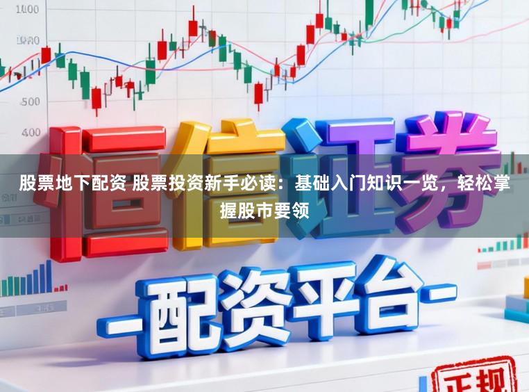 股票地下配资 股票投资新手必读：基础入门知识一览，轻松掌握股市要领