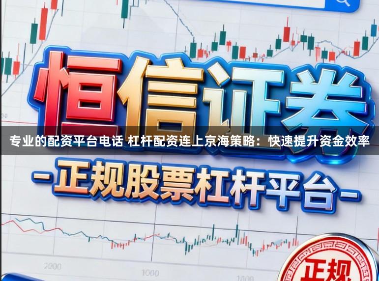专业的配资平台电话 杠杆配资连上京海策略：快速提升资金效率